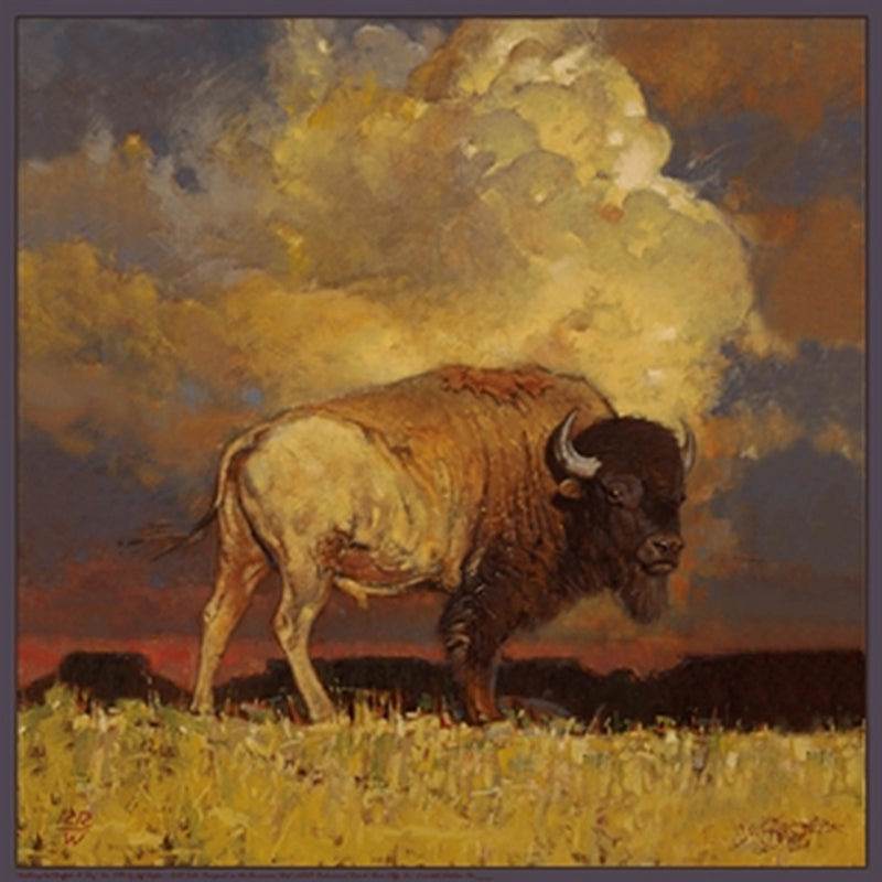 Limited-Edition Nothing But Buffalo & Sky Silk Scarf by Jeff Segler - Rockmount