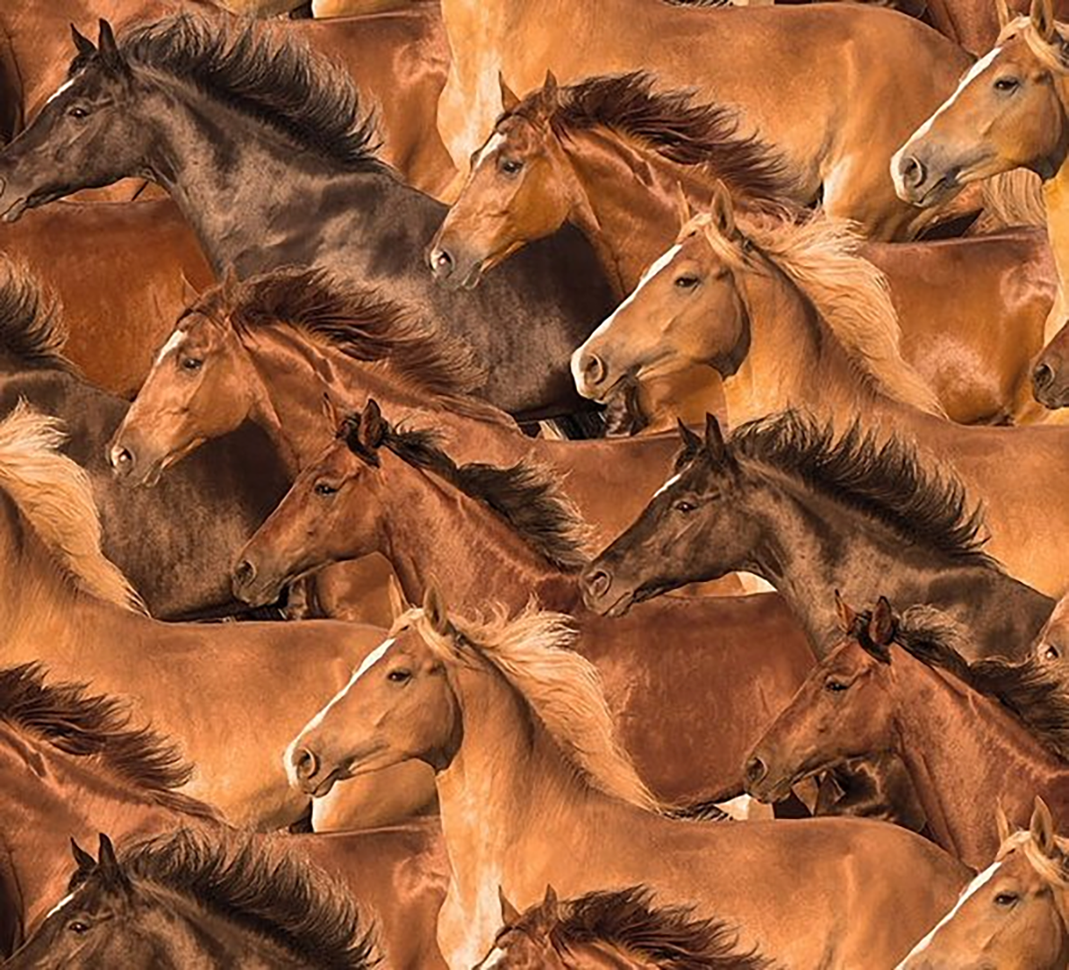 Horse Herd Western Cotton Bandana in Brown