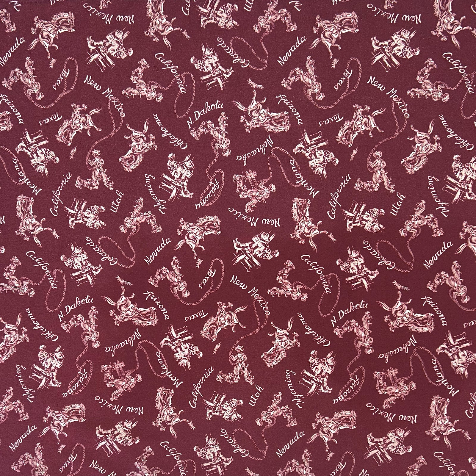 Western Cowboys & States Red Bandana