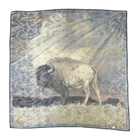 Limited-Edition Nothing But Buffalo & Sky Silk Scarf by Jeff Segler