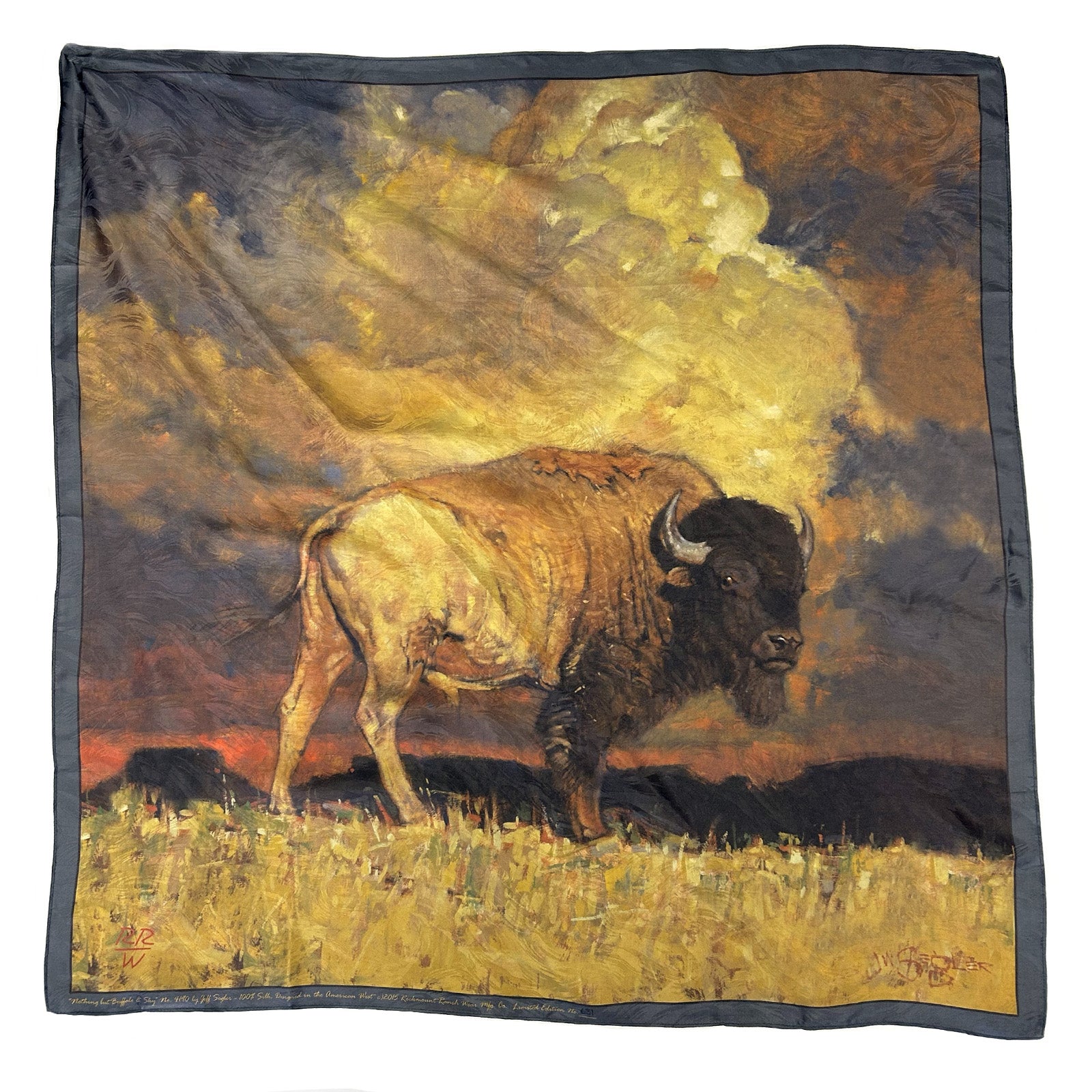 Limited-Edition Nothing But Buffalo & Sky Silk Scarf by Jeff Segler