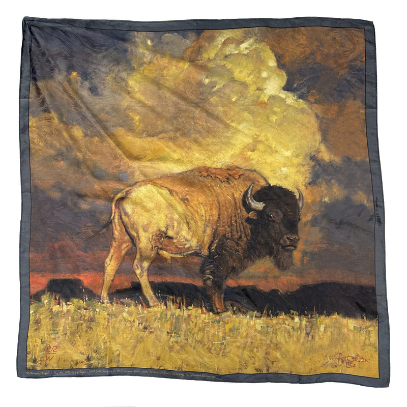 Limited-Edition Nothing But Buffalo & Sky Silk Scarf by Jeff Segler