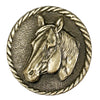 Brass Horsehead Western Bolo Tie