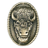 Oval Buffalo Head Western Bolo Tie in Brass