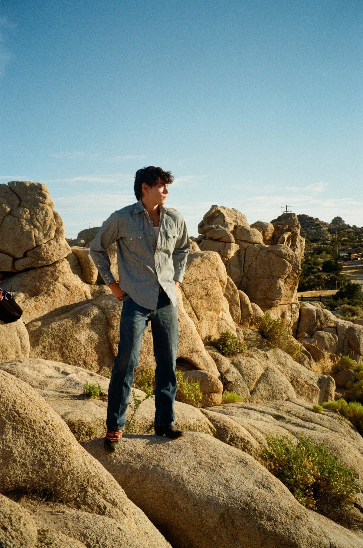Men's Signature Denim Pinstripe Western Shirt
