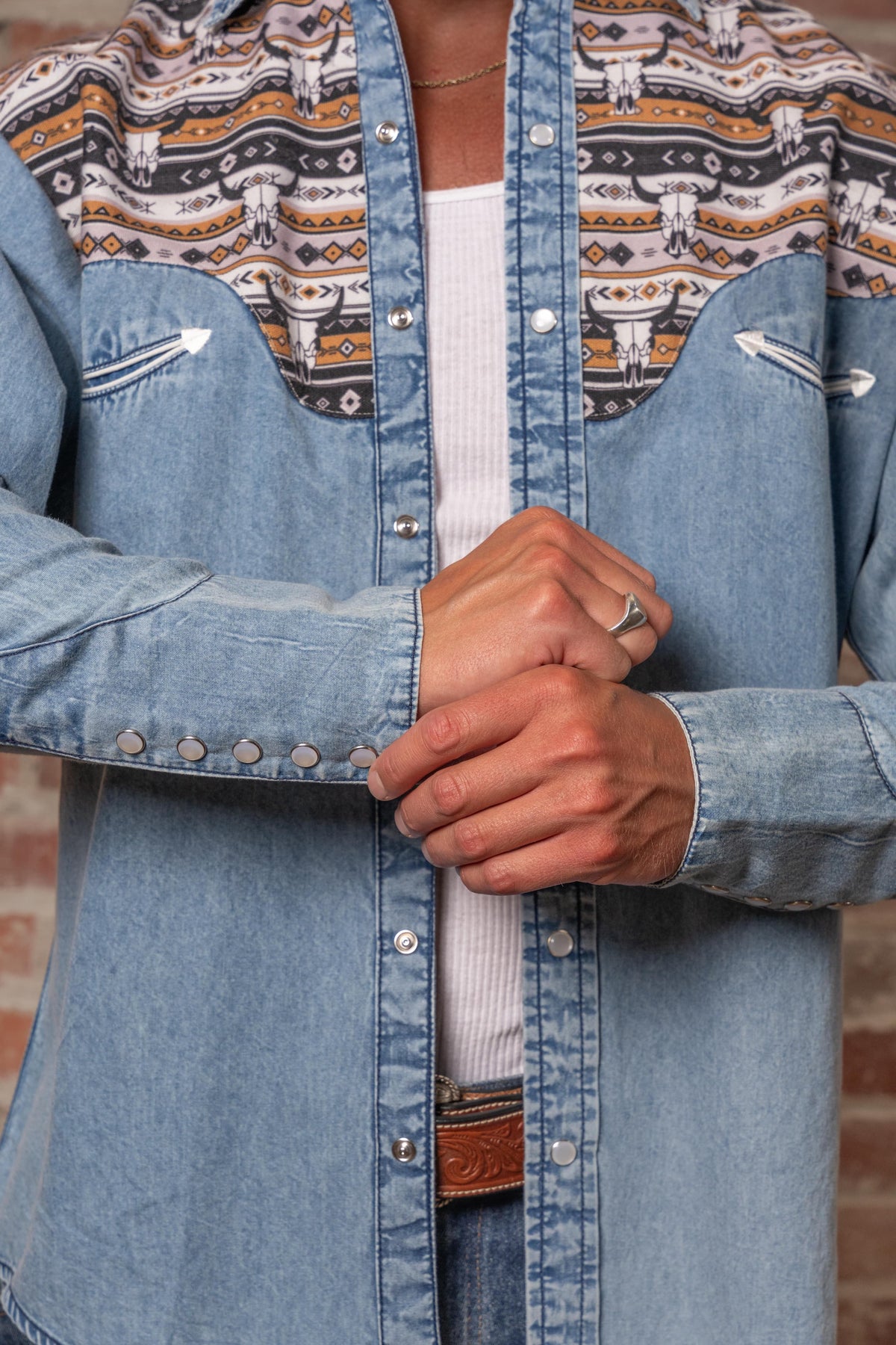 Men's Vintage 2-Tone Denim & Steer Skull Embroidered Western Shirt