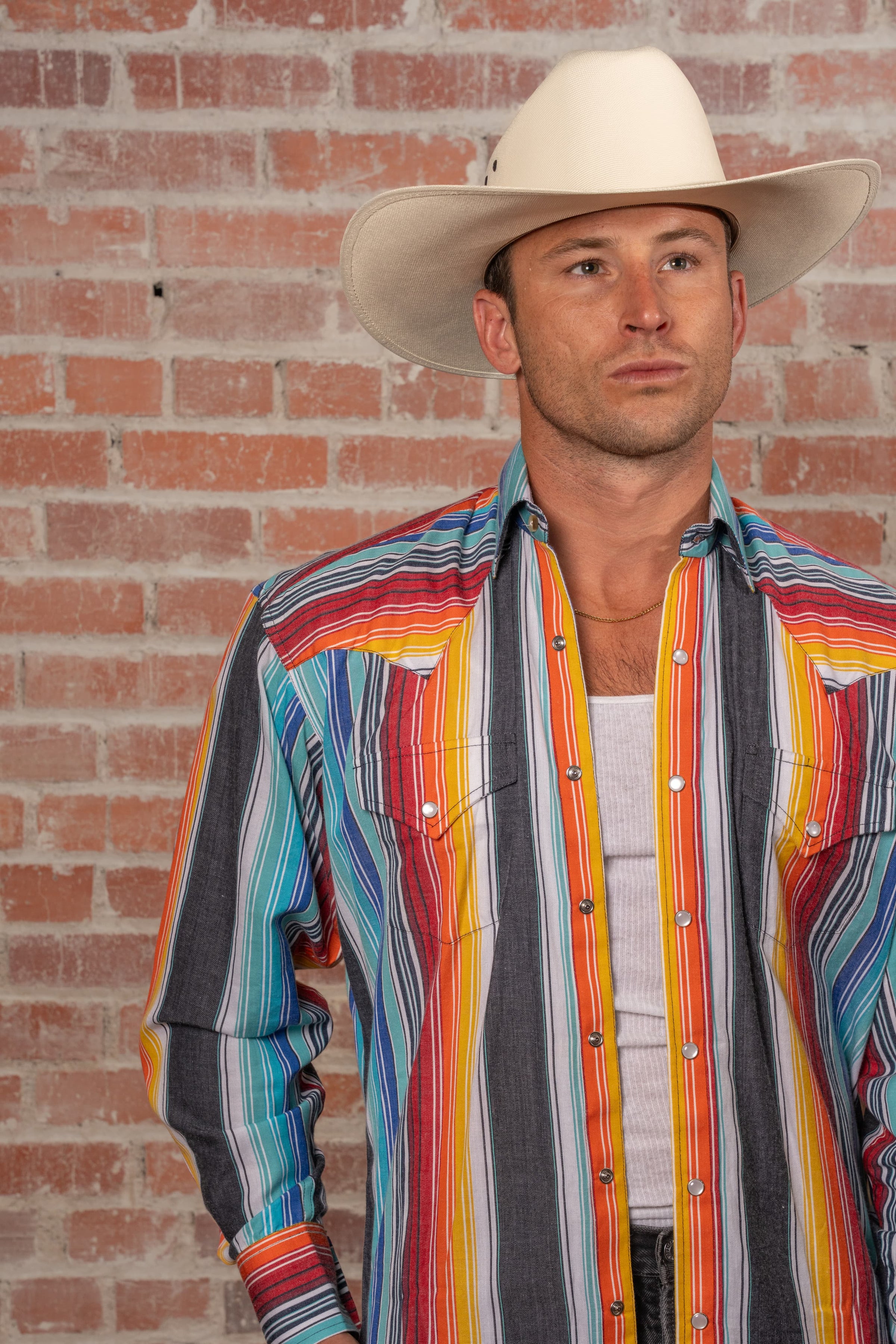 Men's Vintage Serape Stripe Western Shirt