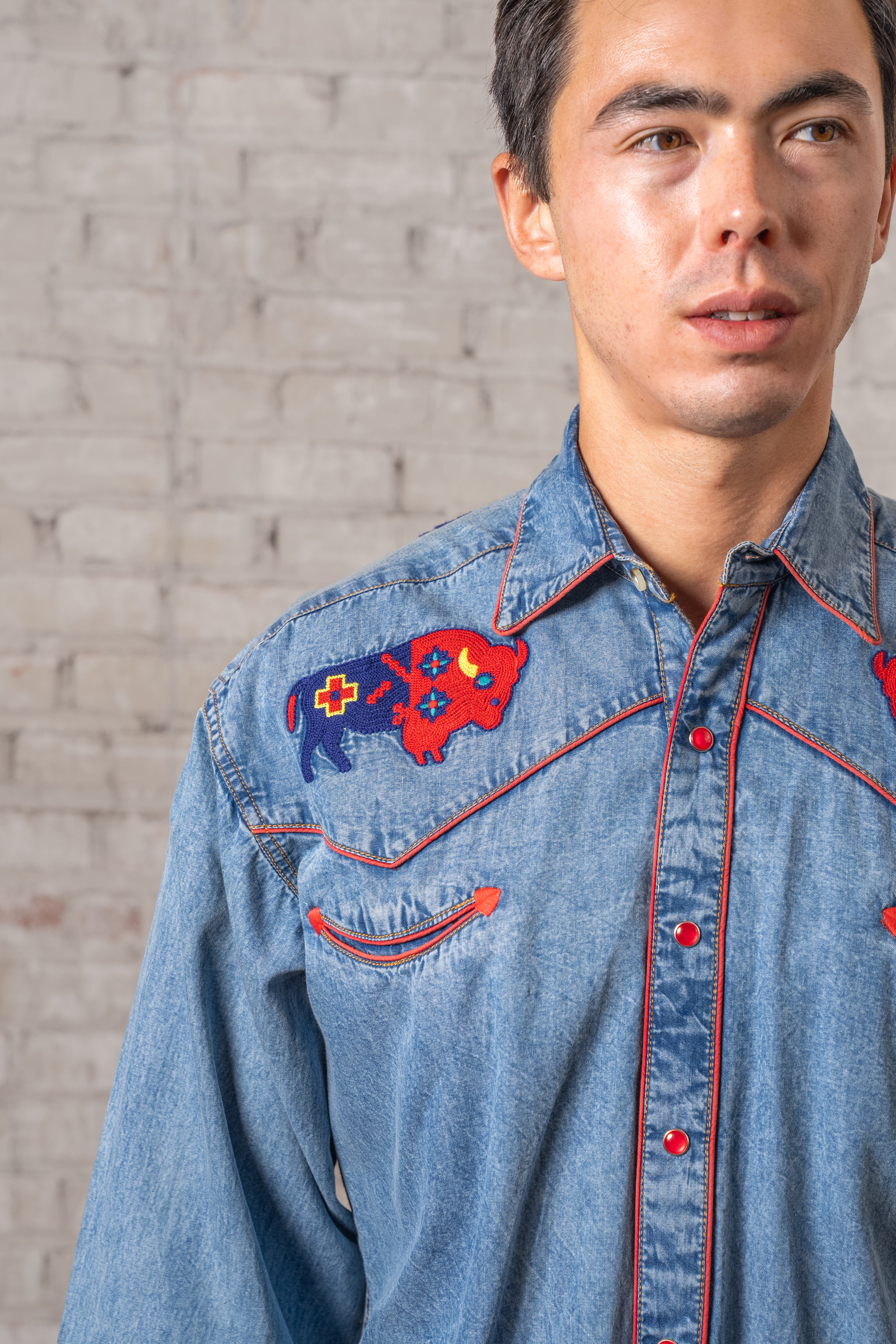 Rockmount Men's Bison Embroidery Denim Western Shirt