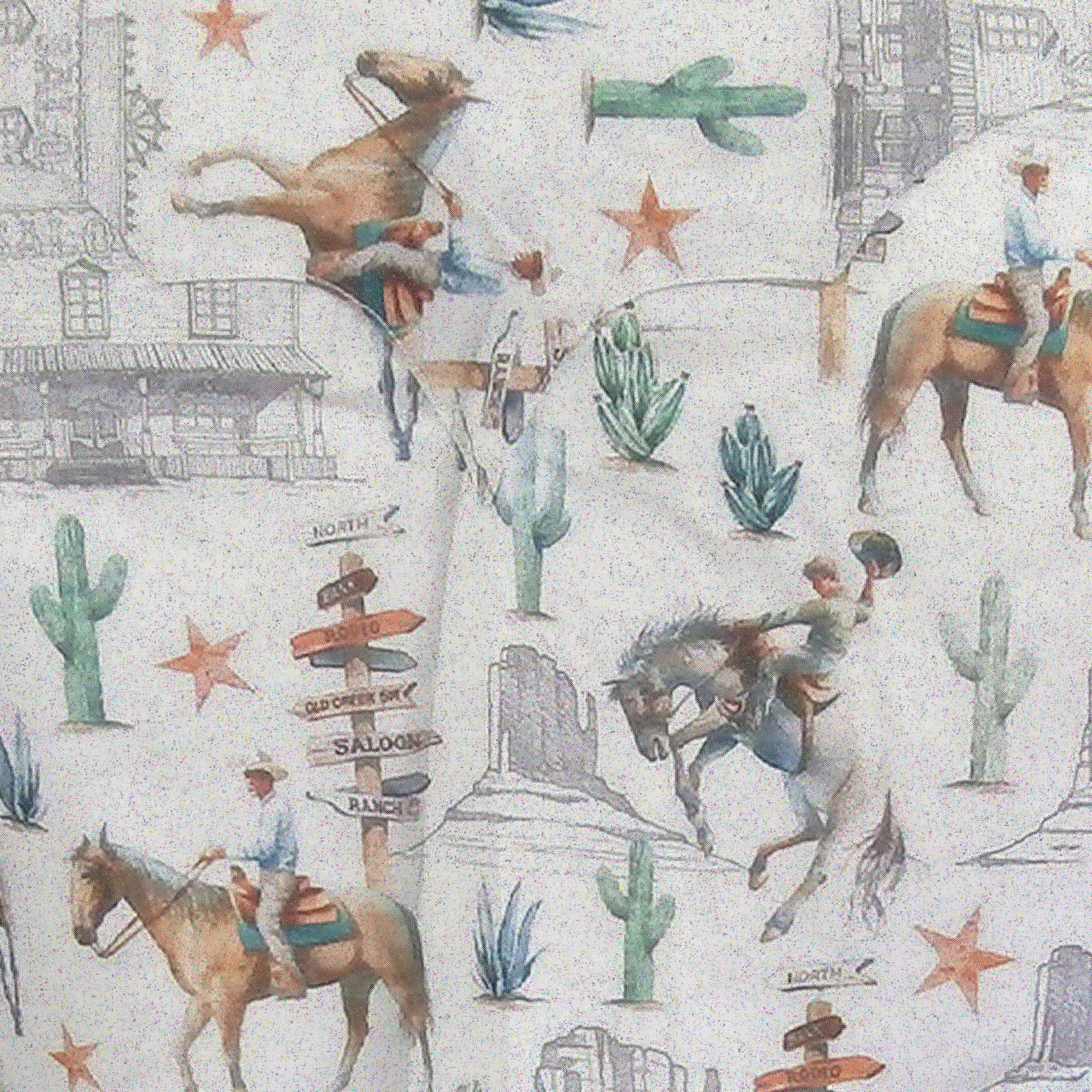 Women’s White Cactus & Cowboys Print Long Sleeve Western Shirt - Rockmount