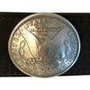 Silver Dollar Distressed Genuine Leather Western Belt - Rockmount